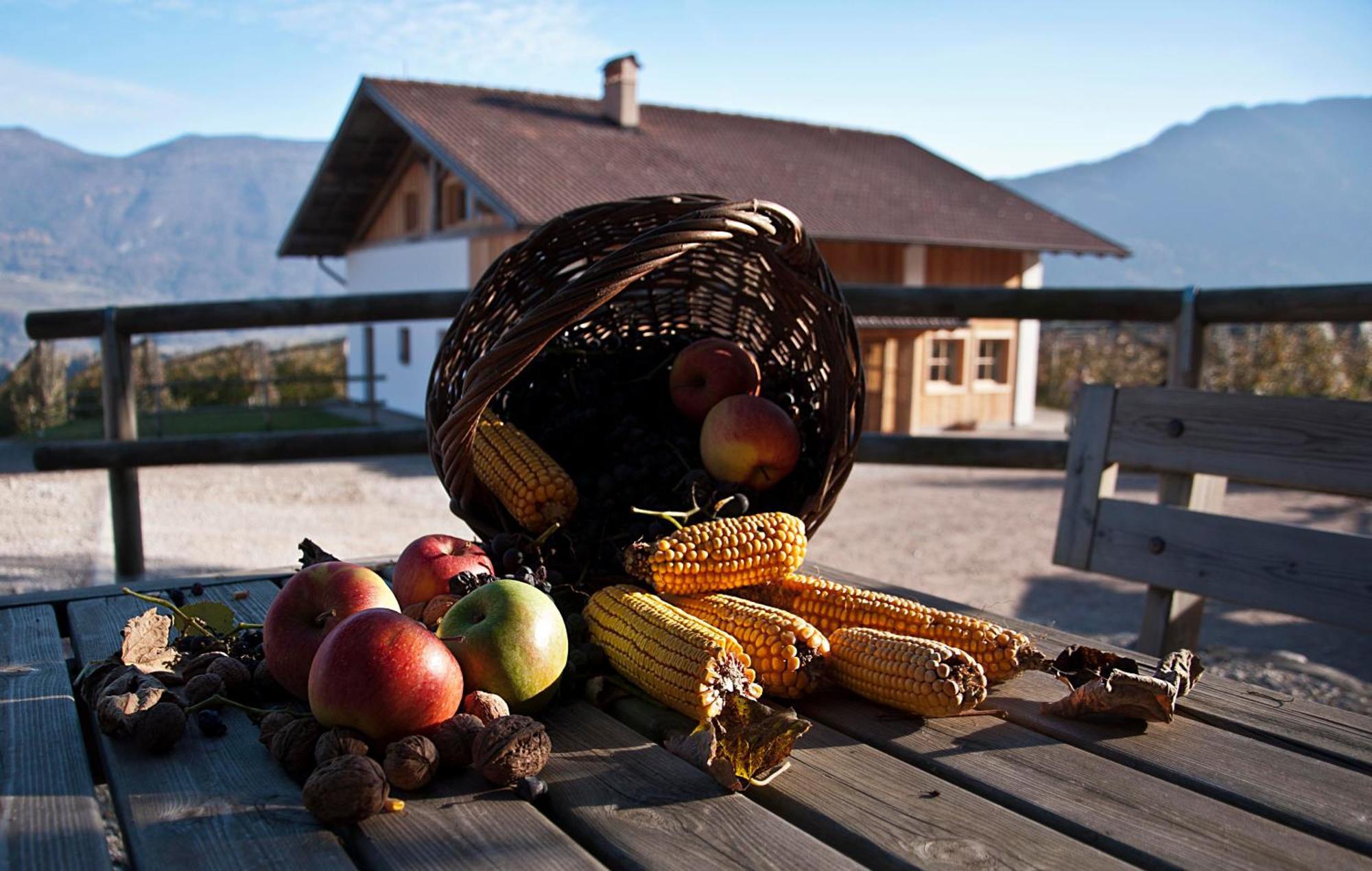 Agritur Maso Pra' Cavai B&B Balbido-rango Buitenkant foto