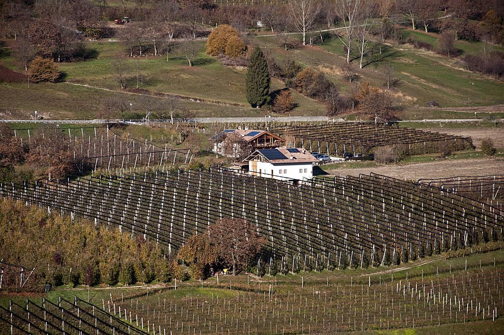 Agritur Maso Pra' Cavai B&B Balbido-rango Buitenkant foto